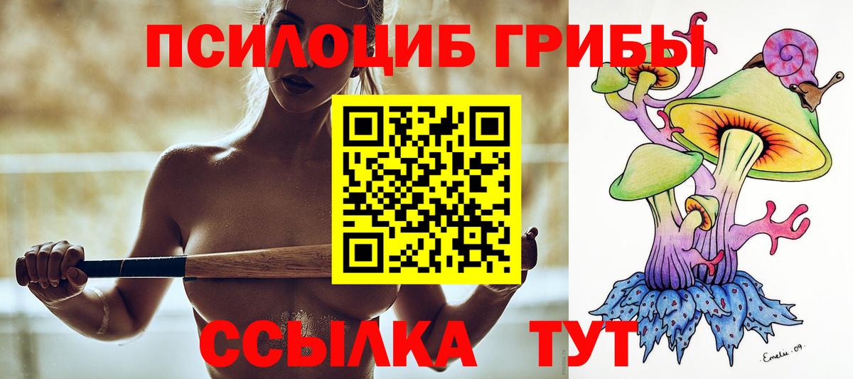 Сыктывкар  Псилоцибиновые грибы Magic Shrooms  Вход с VPN 